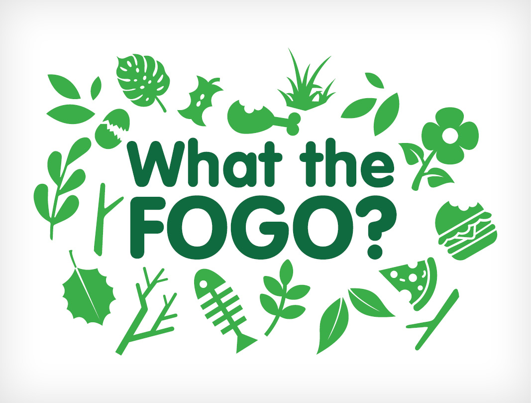 What the FOGO Activation