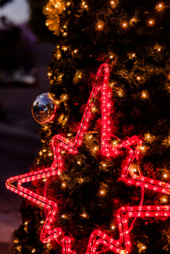 Carols in The Park