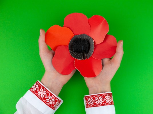 Poppy Project - Poppy Project examples