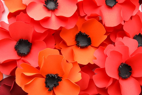 Poppy Project - Poppy Project examples