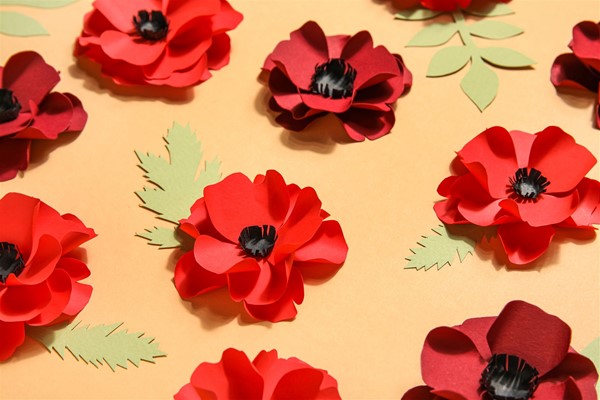 Poppy Project - Poppy Project examples