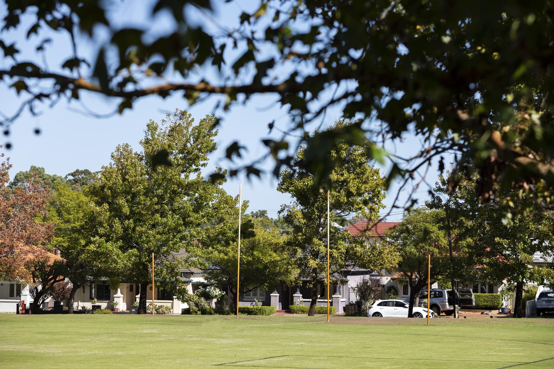 Menzies Park Floodlighting