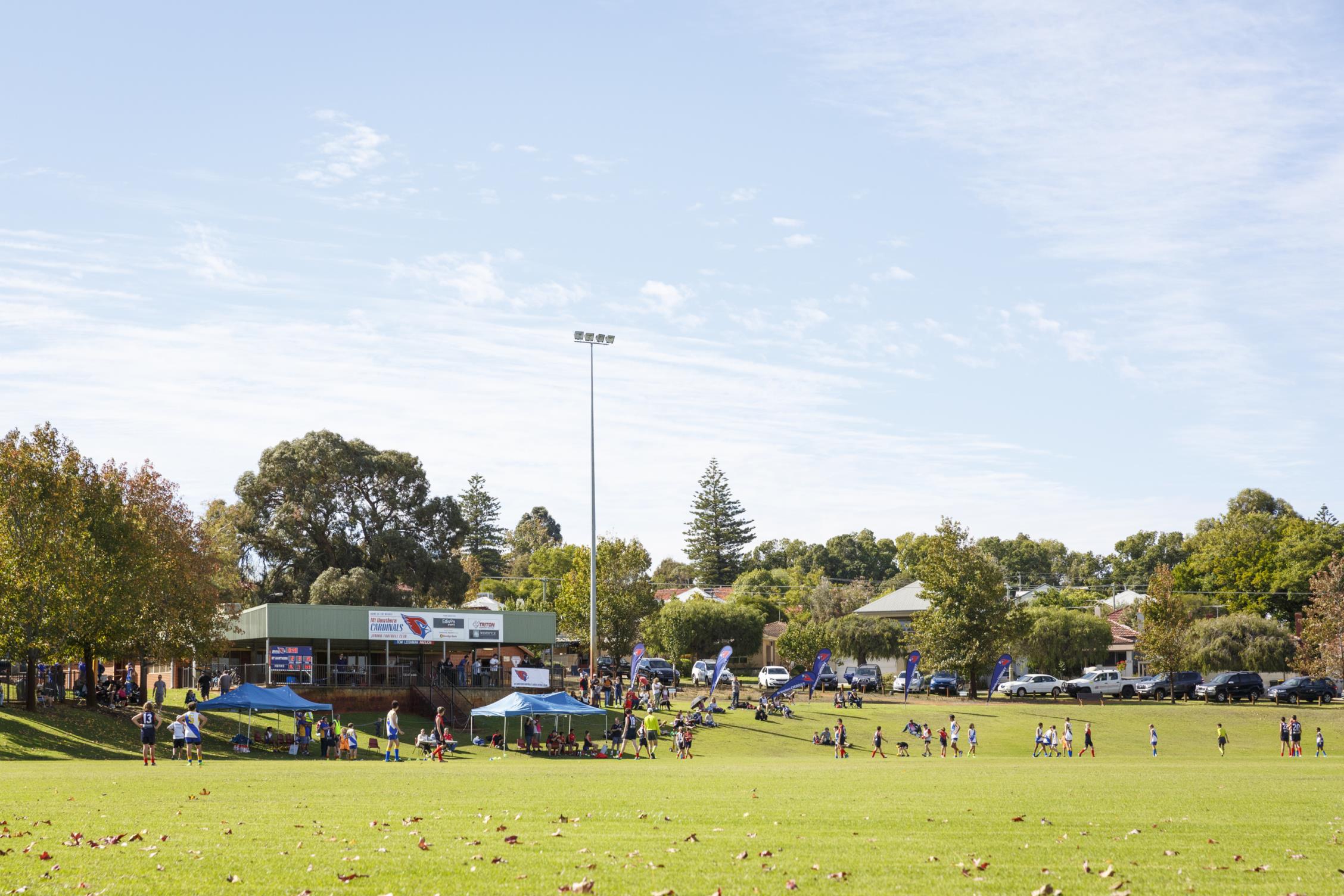 Menzies Park drainage project