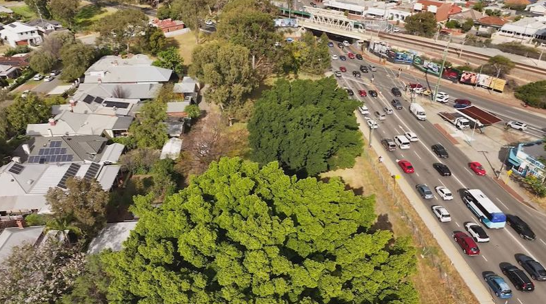 Tree removal for site works at Guildford Road and East Parade